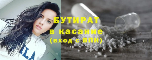 стаф Каменка
