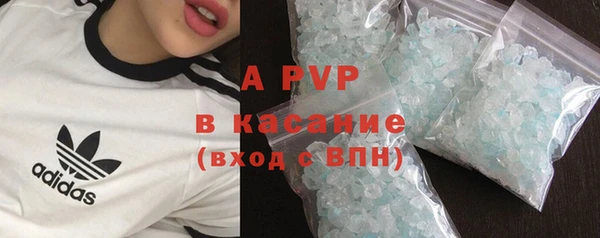 стаф Каменка