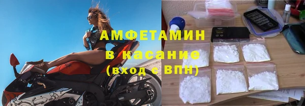 стаф Каменка