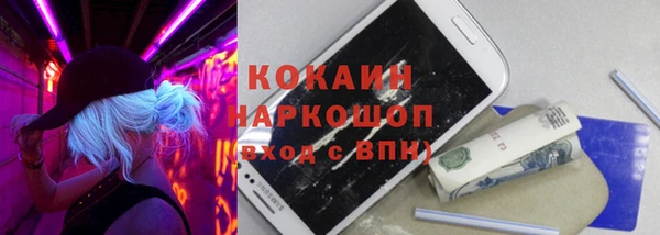 стаф Каменка