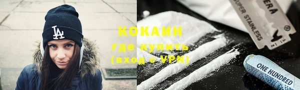 стаф Каменка
