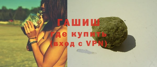 стаф Каменка