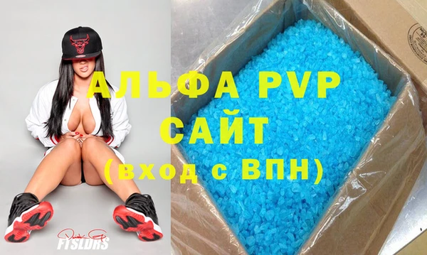 стаф Каменка