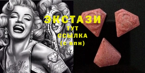 стаф Каменка