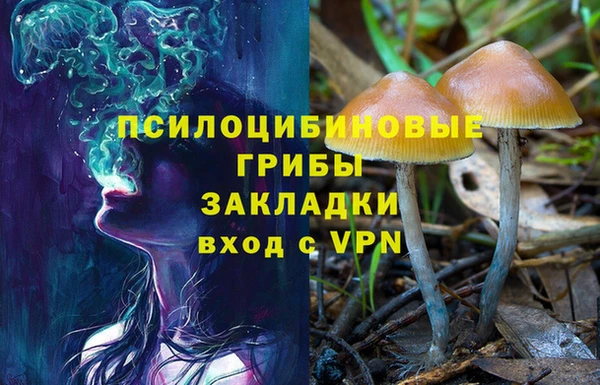 стаф Каменка
