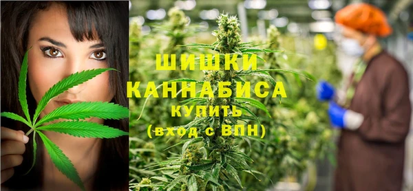 стаф Каменка