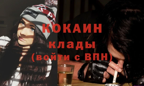 стаф Каменка