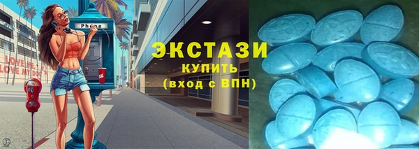 стаф Каменка